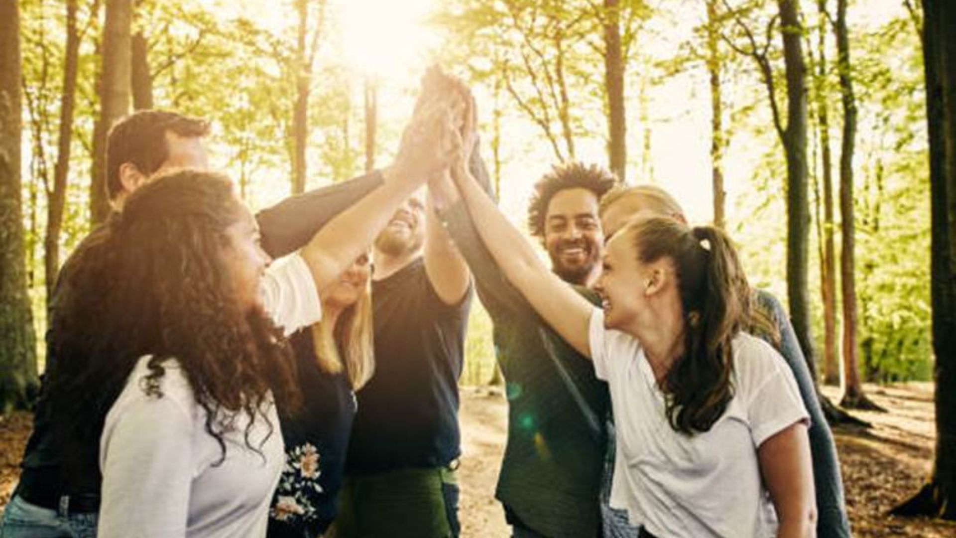 Organiser un teambuilding réussi en province de Namur