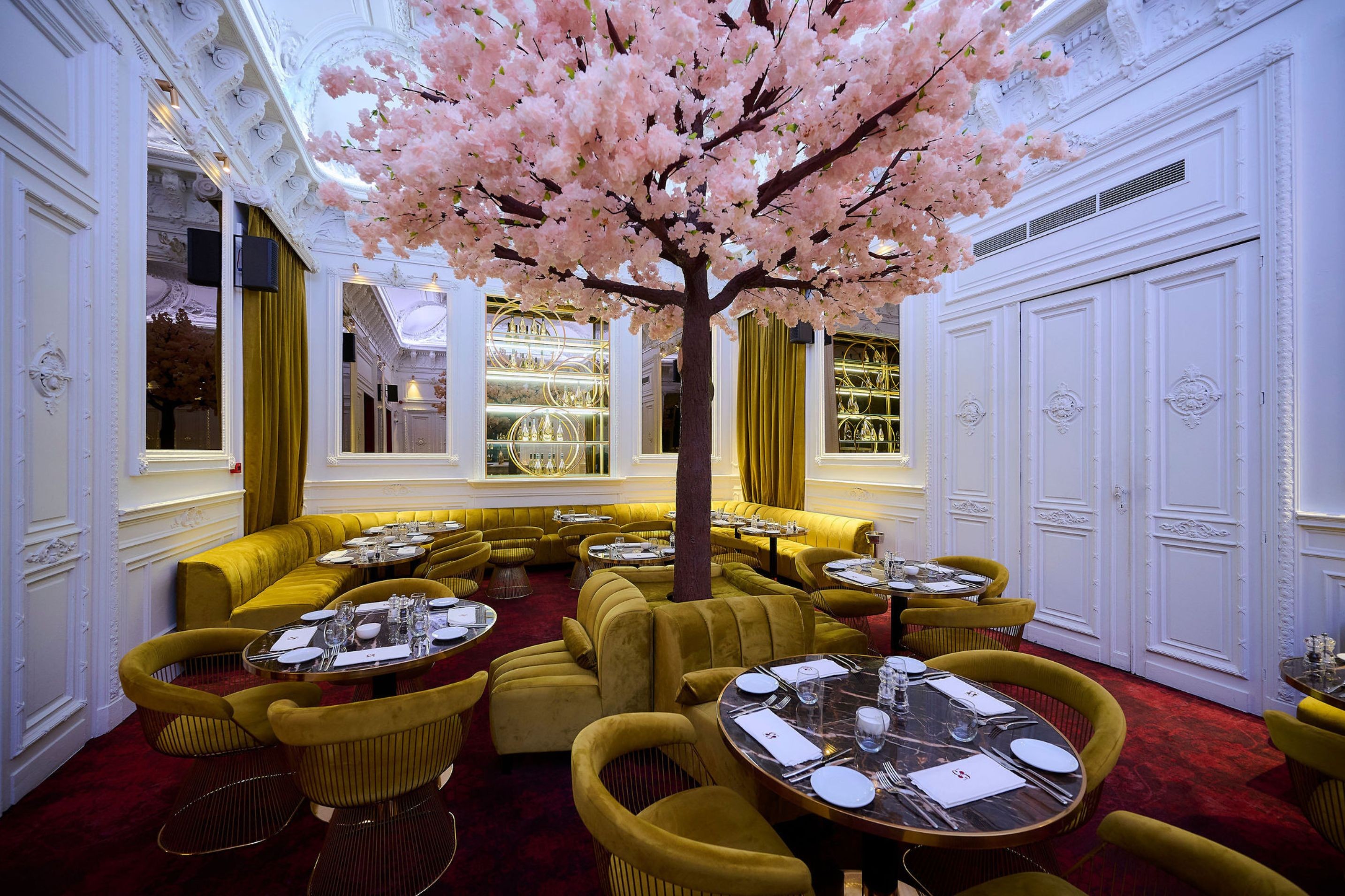 Salle Blanche